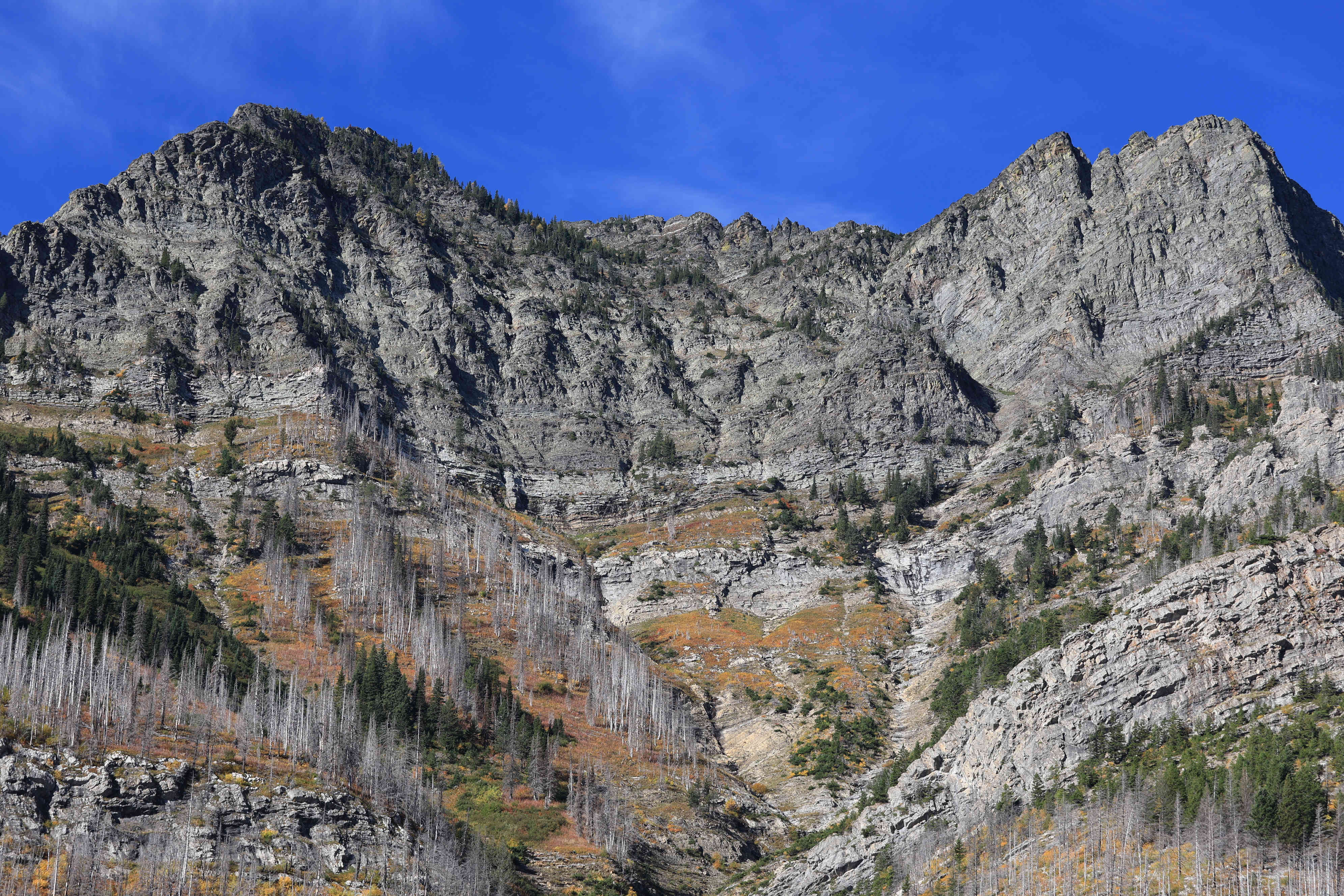 Waterton